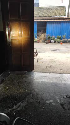 深度分析PALIGHT头灯怎么样，新手吐槽评测不容小看