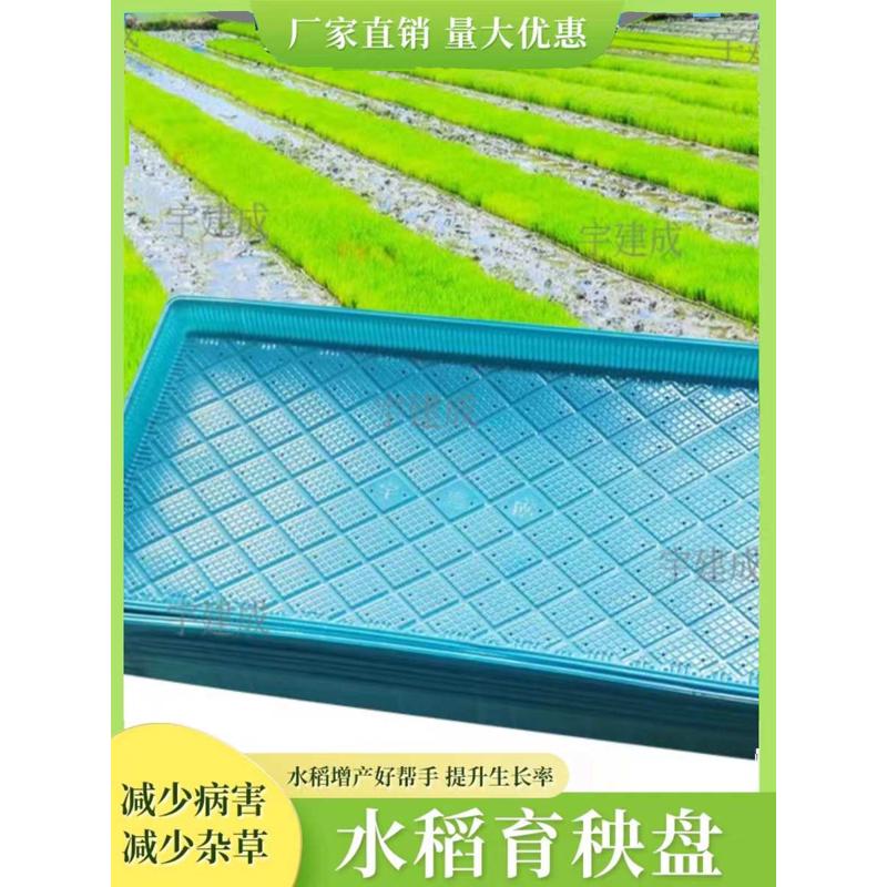 新款水稻育秧盘稻谷育苗盘7寸 9寸塑料机插育苗盘机插平底盘软盘
