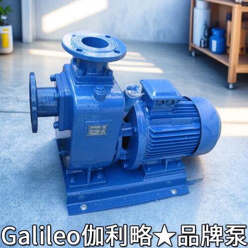 液环式自吸泵自涡吸轮式自吸泵JNS泵进口离心吸泵迷你水gp125泵