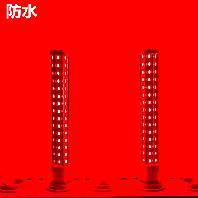 户外防水灯笼灯泡LED红光玉米灯彩 彩色E27螺口年货婚庆氛围植物