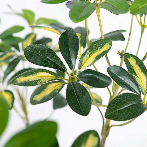 源头厂家海虹仿真绿植鸭脚木假树仿真植物室内装饰摆件