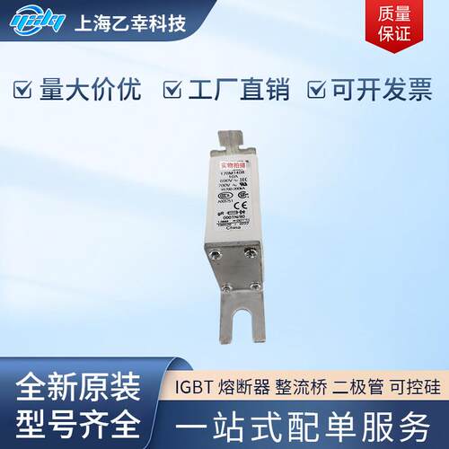 巴斯曼熔断器 170M1387 170M1395 170M1408 170M1409 170M1410
