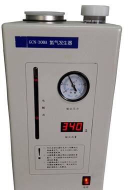 ZZ供氮-气发生器型号:LM12-GCN-300A库号：M384505