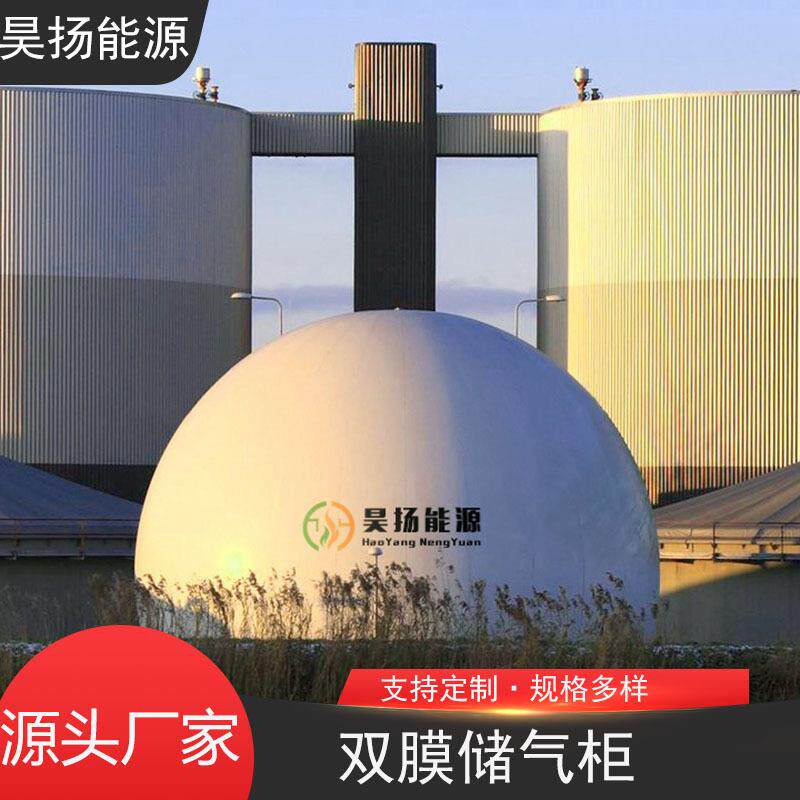 球形双膜气柜养殖场沼气双模储气设备气体缓存装置可折叠移动