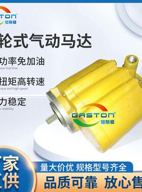 GASTON加斯顿AMC13齿轮式气动马达微型大功率气动马达厂家
