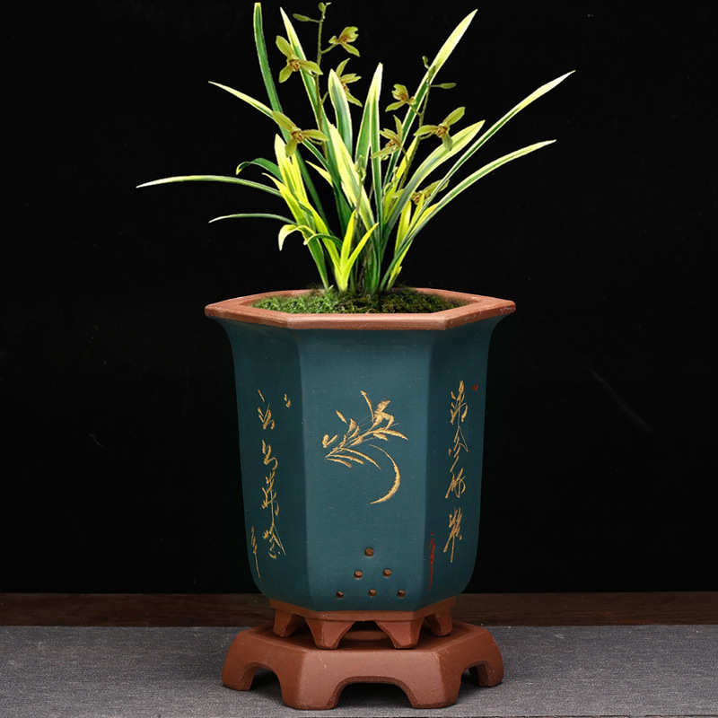 紫砂花盆桌面六角刻绘盆景盆君子兰蕙春兰园艺花卉绿植带底座批发