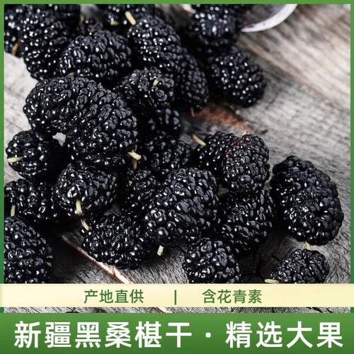 新疆包邮疆瀚新疆特产桑葚干500g头茬黑桑葚干头茬大果无沙枸杞泡