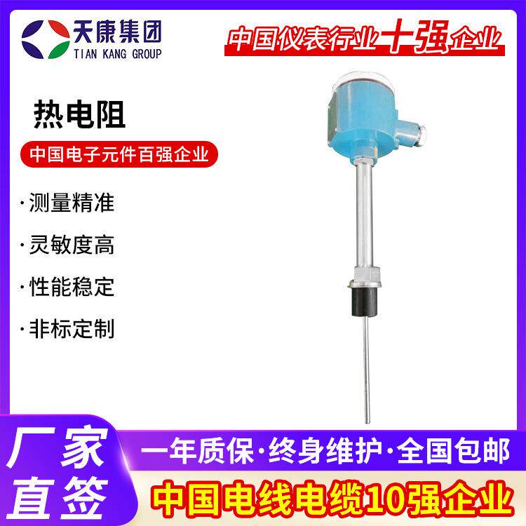 线探针热电阻芯云母隔爆型端面热电阻铠装铂热电阻