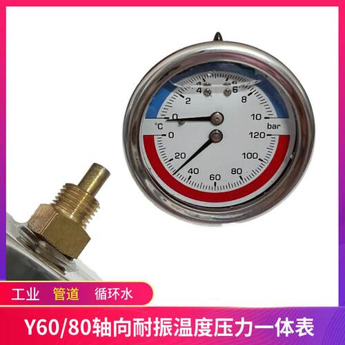 Y60/80轴向耐震温度压力一体表10BAR水系统管道外壳不锈钢2分接头