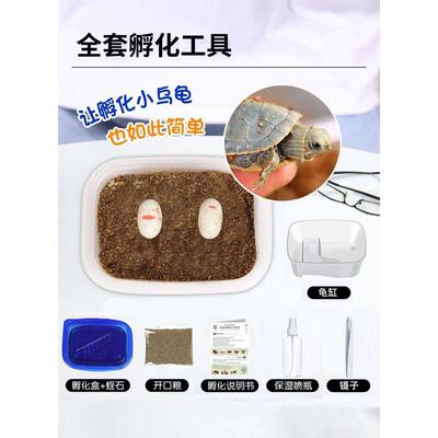 恐龙蛋玩具男孩动物仿真模型可孵化宠物乌龟生物小学生好养的儿童
