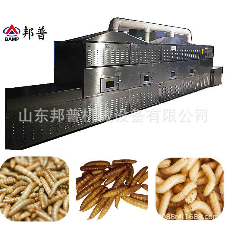 微波干燥烘干设备黄粉虫黑水虻昆虫碳纤维烘干 微波干燥烘干设备