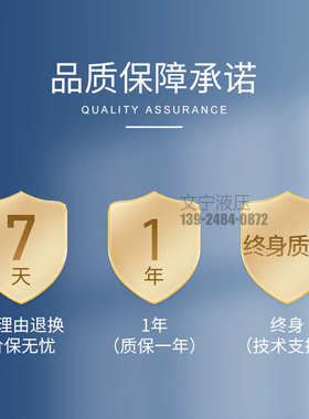 机床式yb1叶片定量- 中压 吸-系统泵叶片yb112液压液压泵 10泵单