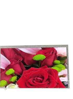 群创9寸800X480液晶屏 LCD 工业显示屏  车载屏幕 AT090TN12 V.1