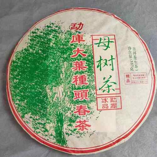 2016年班章老树茶厂勐库大叶种头春母树茶勐库冰岛生茶干仓高香