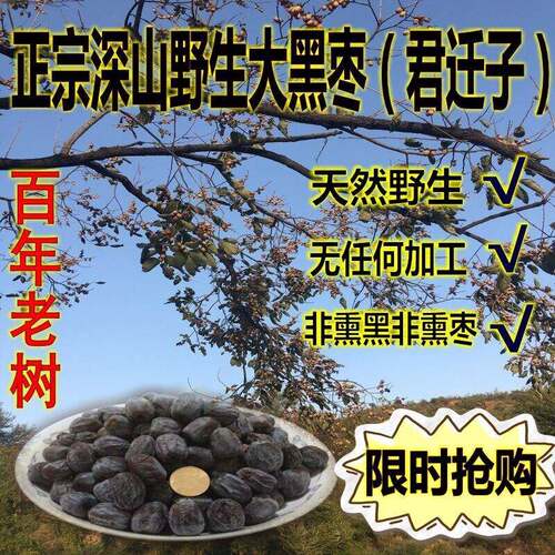 推荐子河北特产有核枣小柿子黑野柿子新货君迁非嫁接无核黑枣薰枣