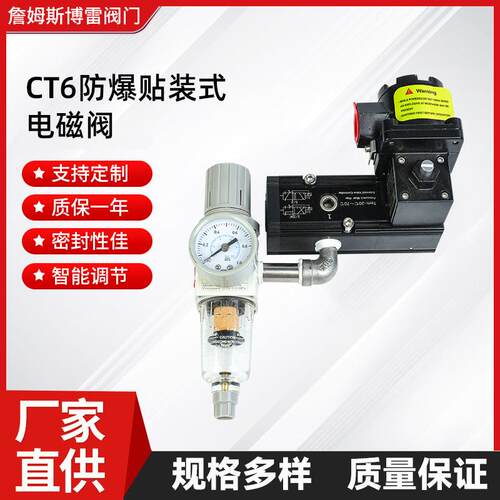CT6防爆贴装式电磁阀高压电磁阀自保持电磁阀高低温电磁阀
