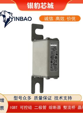 32NHG0B 35NHG0B 40NHG0B 50NHG0B 63NHG0B巴斯曼熔断器保险丝