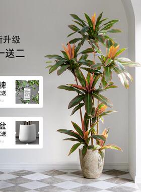 北欧ins风室内红铁树仿真植物假花绿植盆栽摆件客厅落地大型装饰
