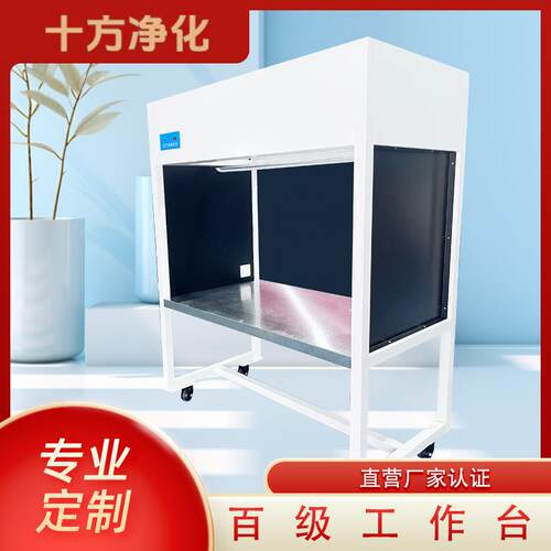 洁净工作台/烤漆净化工作桌单人/双人单面垂直流无尘SUS304超净