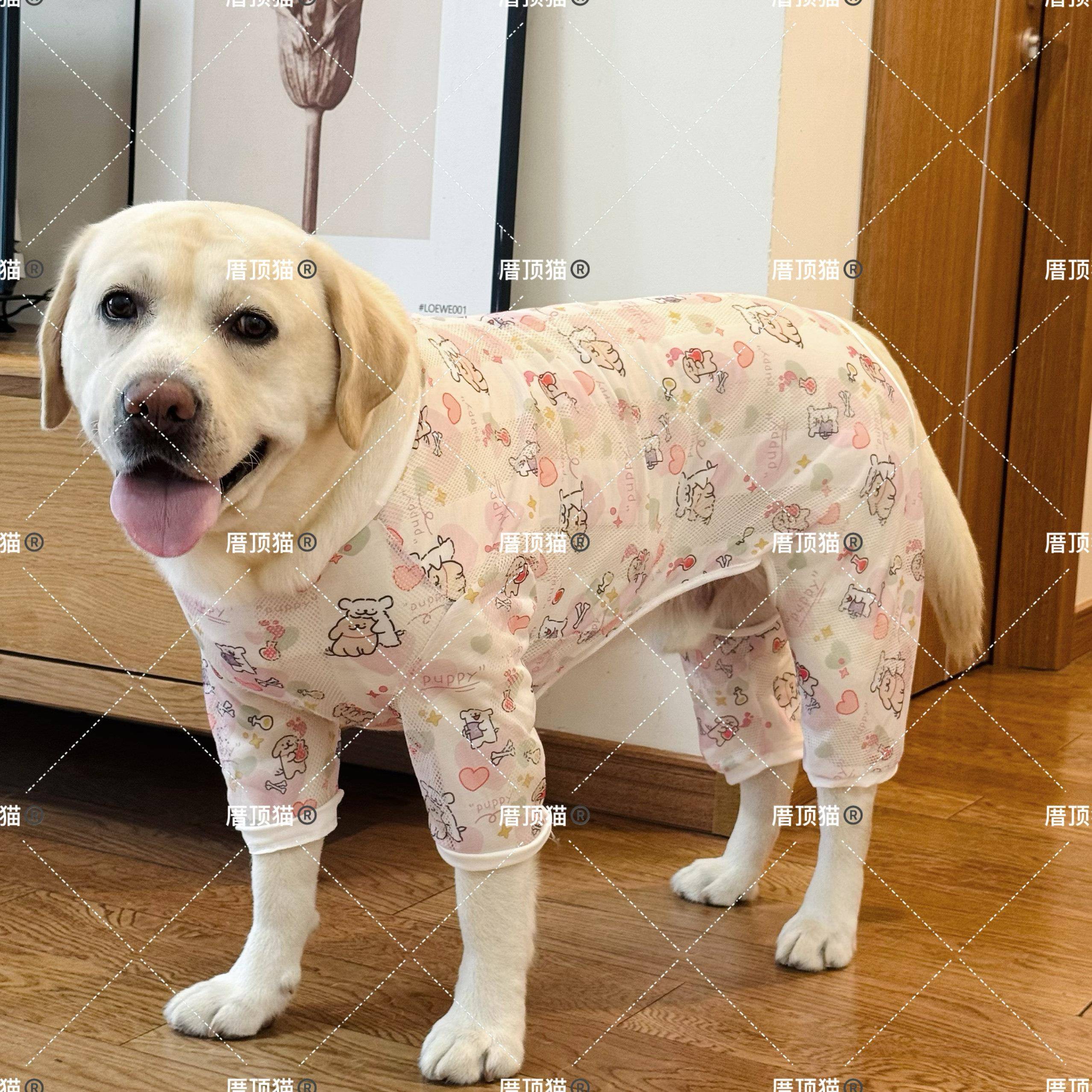 夏季薄款大型犬透气防晒四脚衣图片