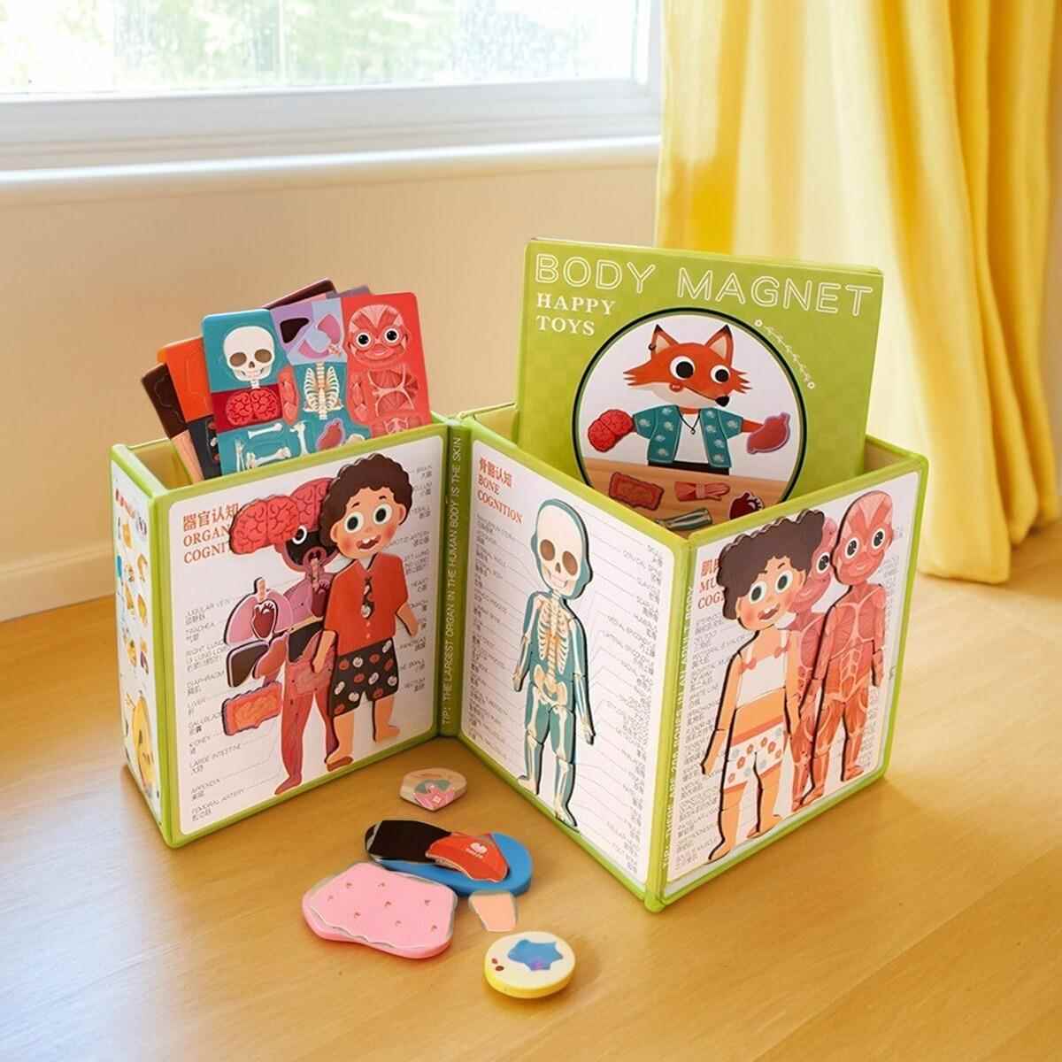 人体结构模型教具幼儿园中大班儿童认识人体器官骨骼内脏拼图玩具