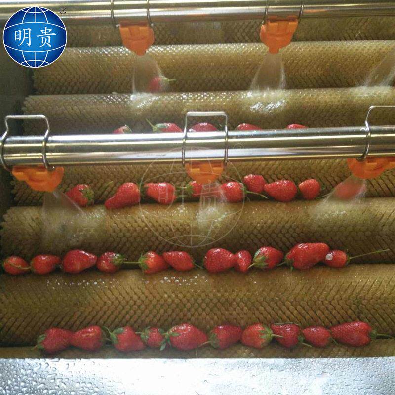 草莓气泡清洗机 鼓泡式水果清洗机 芒果大白菜清洗除杂机器