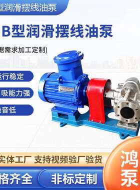 RHB型润滑摆线油泵电机组微型润滑泵电机装置 电动润滑泵厂家供应