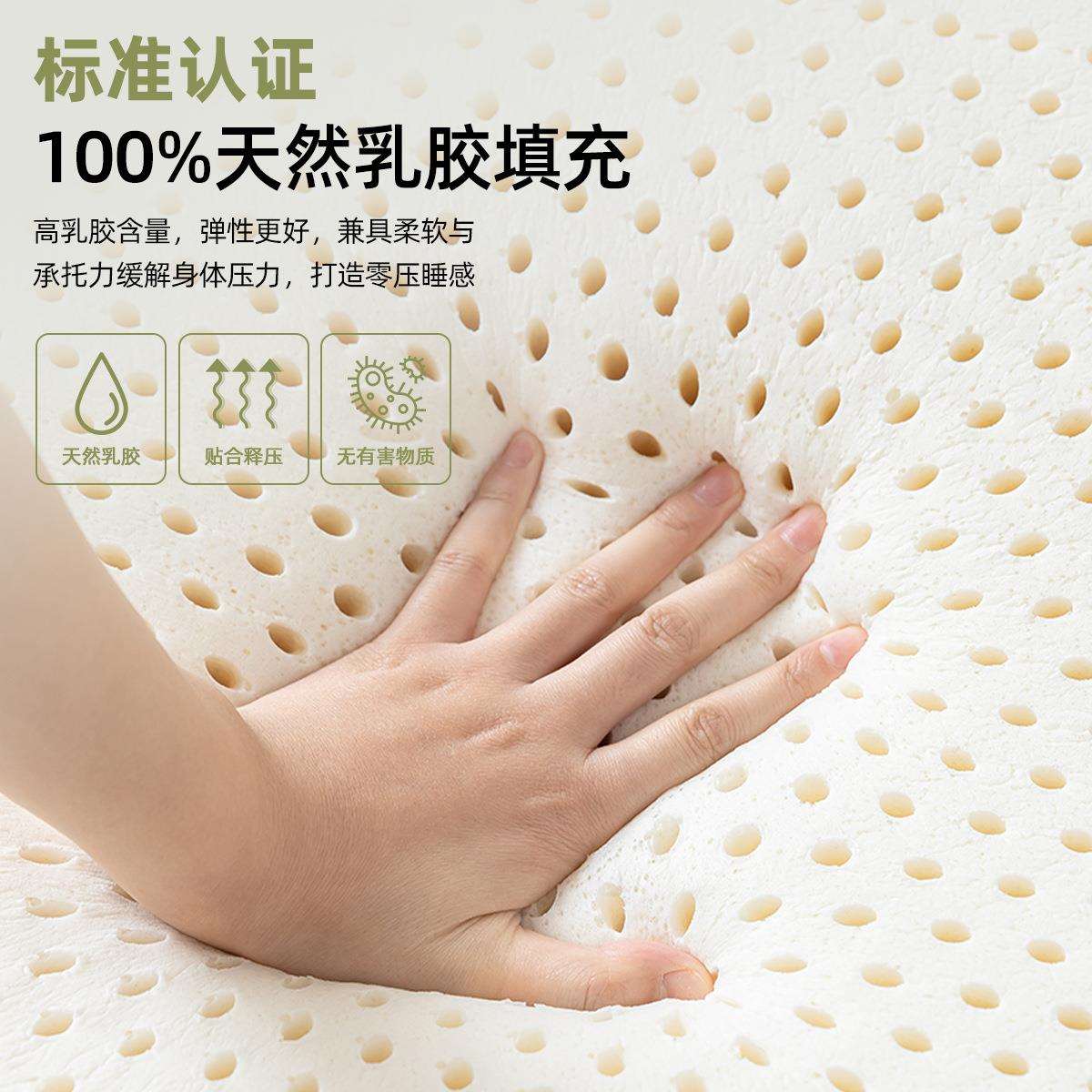 乳胶床垫遮盖物软垫家用卧室学生宿舍单人租房专用海绵床褥垫被子