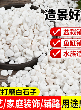 白石子天然鹅卵石雨花石多肉盆栽铺面庭院造景花盆装饰白色小石头
