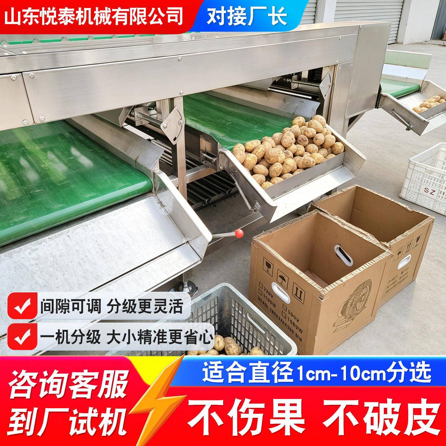 冰糖橙分选机全自动李子杏子滚杠式分级机蜜薯雪莲果大小分拣设备