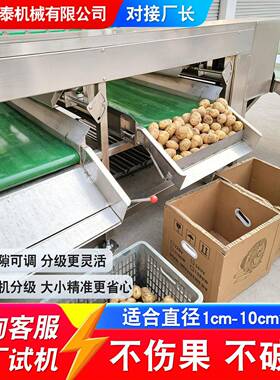 冰糖橙分选机全自动李子杏子滚杠式分级机蜜薯雪莲果大小分拣设备