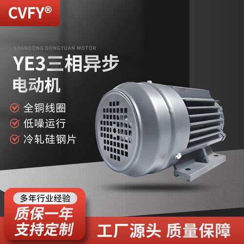 三相异步电动机 YE3-160M/L-6极电机 380V 7.5/11W 975r/min马达