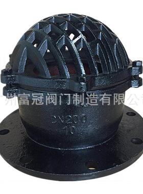 H42X-2.5铸铁法兰底阀抽水底污水处理底阀水泵底阀单向阀DN100