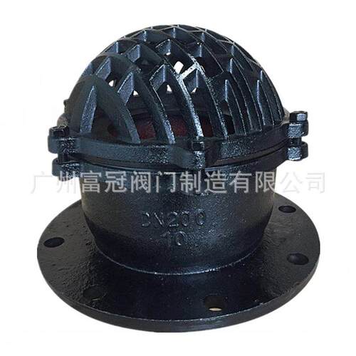 H42X-2.5铸铁法兰底阀抽水底污水处理底阀水泵底阀单向阀DN100