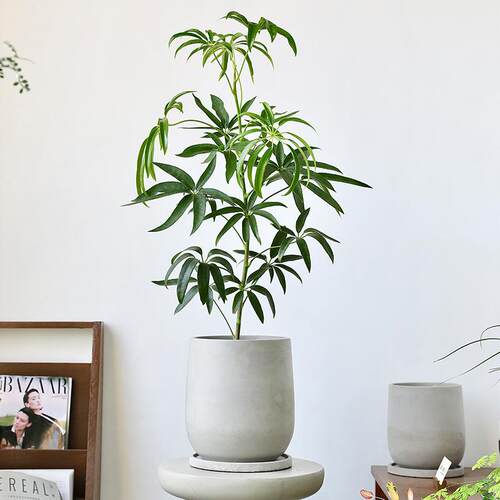工业风现代家居室内办公室植物仿真绿植盆栽北欧装饰假花水泥花盆
