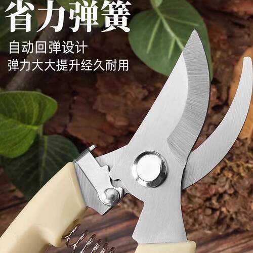 园艺剪刀修枝剪花剪园林剪花艺剪剪树枝果树剪刀枝剪修剪花卉剪子