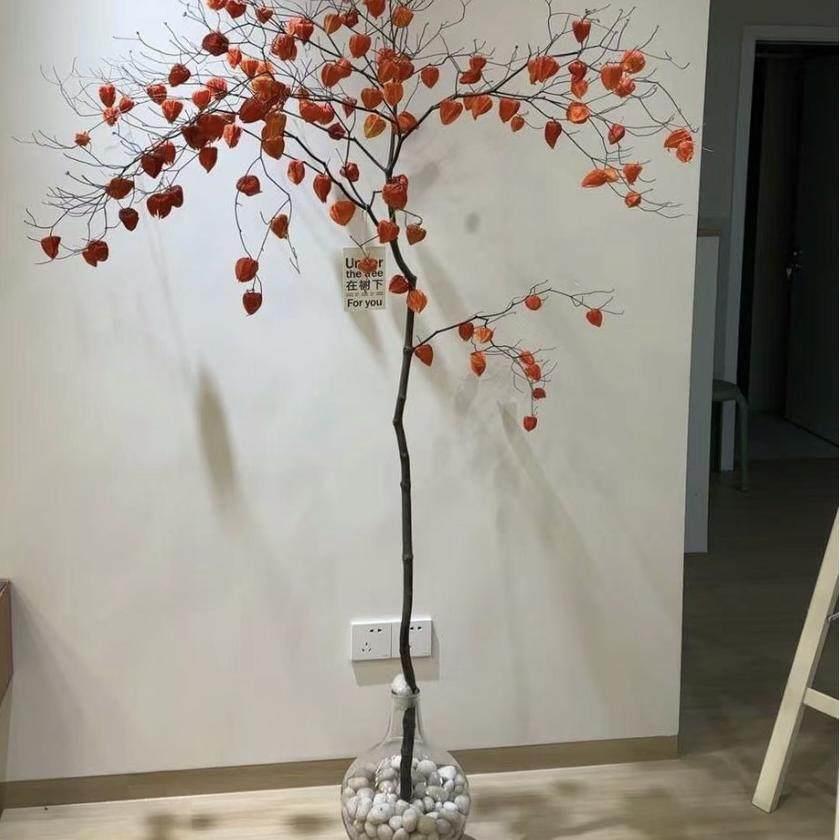干燥树枝吊钟酸浆果干花家居diy花材高级感拍照道具摆件