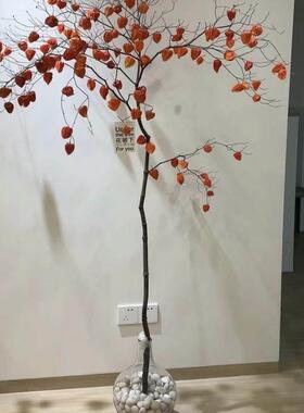 干燥树枝吊钟酸浆果干花家居diy花材高级感拍照道具摆件