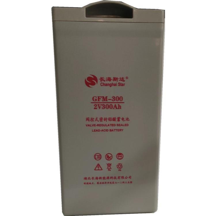 长海斯达蓄电池GFM-3002V300AH免维护含税含运灰白质保三年泰尔