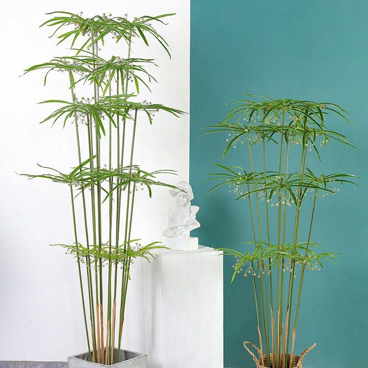 级仿真风车草水竹盆栽大型落地客厅绿植装饰摆件公室仿生植物