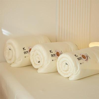 A80%豆RJO纤维被子学生宿舍大秋被芯类针织棉亲肤大春豆被玉米冬