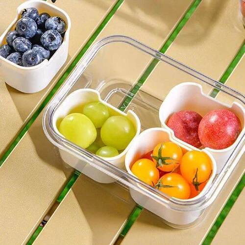 Divided Serving Tray with Lid Compartment Box Removable
