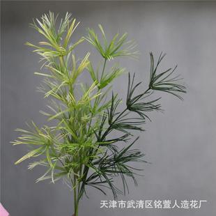 新品 节节真绿植布景文竹叶松针森系婚礼插花挑高花材工厂热卖