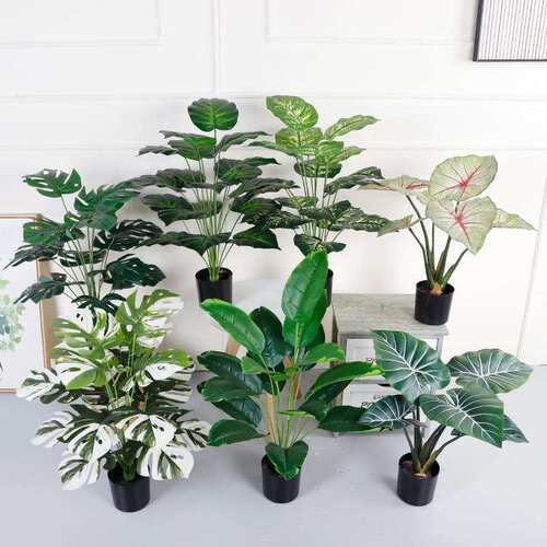 仿真植物龟背竹 万年青室内旅人蕉巴西摆件 仿真龟背竹小盆栽
