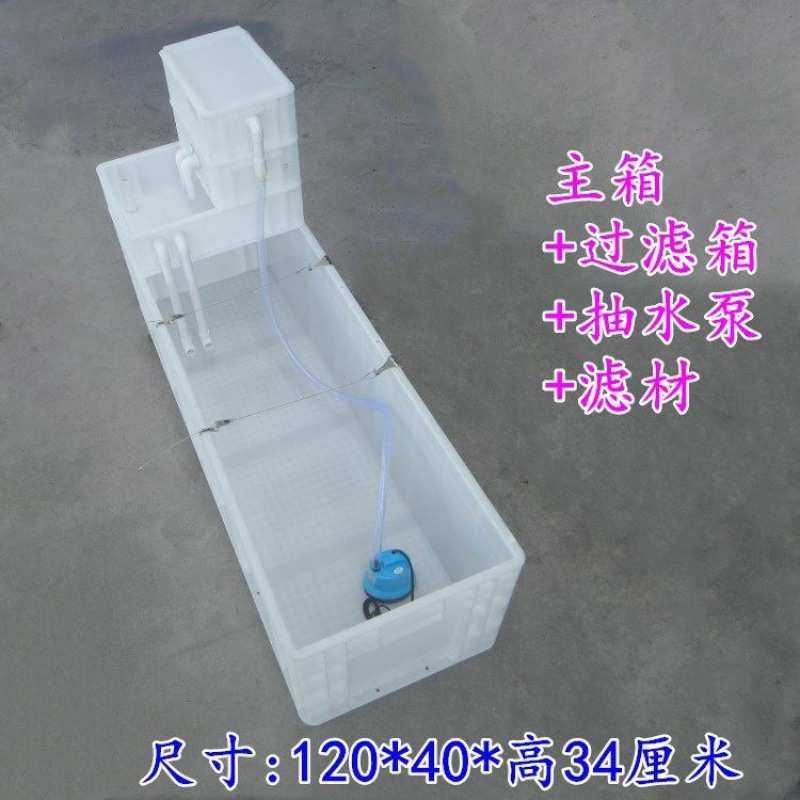 周转箱过滤长方形带过滤盒养龟箱养龟缸养殖箱龟池鱼池水产养殖箱,收纳整理,收纳箱,淘宝优惠券,粉丝福利购,淘宝优惠卷