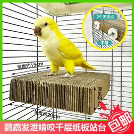 DARUMA台湾达鲁玛鹦鹉玩具鸟千层饼窝垫材啃咬发泄站板鸟笼配件