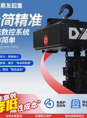 DY220V-380V鼎友舞台伺服数控葫芦舞台吊机