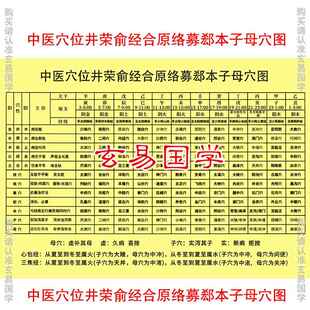 中医穴位井荣俞经合原络募郄本子母穴位图塑封