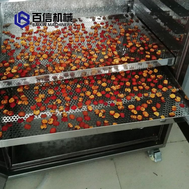 厂家环供应水果干燥机商用水果热泵燥机干机热风循烘干箱