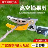 赢大摘果器摘果剪伸缩杆修枝剪高枝剪荔枝龙眼枇杷高枝锯摘果神器